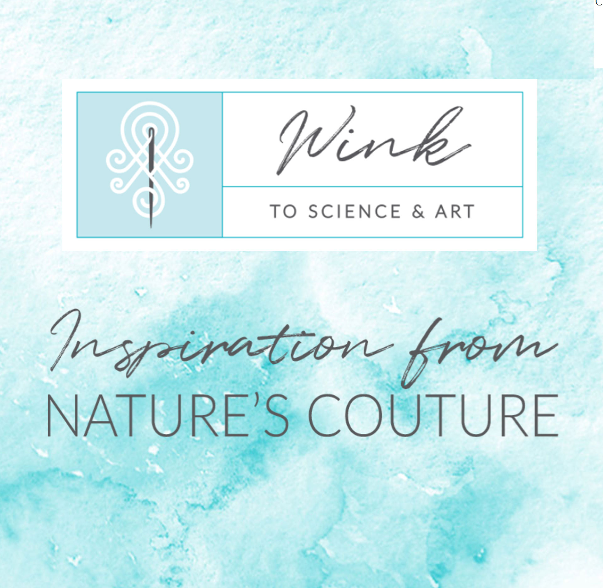Wink-Website-Design-Jacksonville-Feature-Image